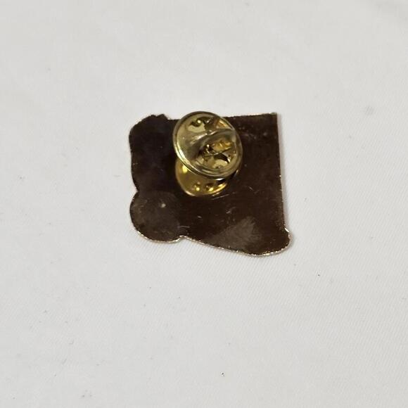 Vtg Skagway Alaska State Travel Gold Tone Enamel Resin Pinv AK - Picture 3 of 3